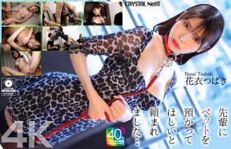 CRNX-254 [4K] Anh chị nhờ tôi chăm sóc thú cưng của anh ấy… Hanagoromo Tsubaki - CRNX-254 [4K] My senior asked me to take care of his pet... Hanagoromo Tsubaki (2025)