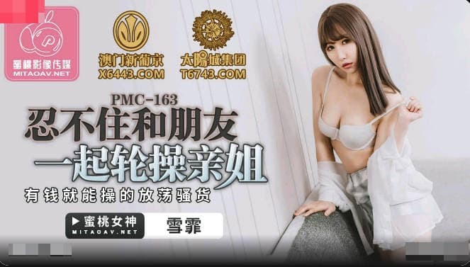 PMC-163